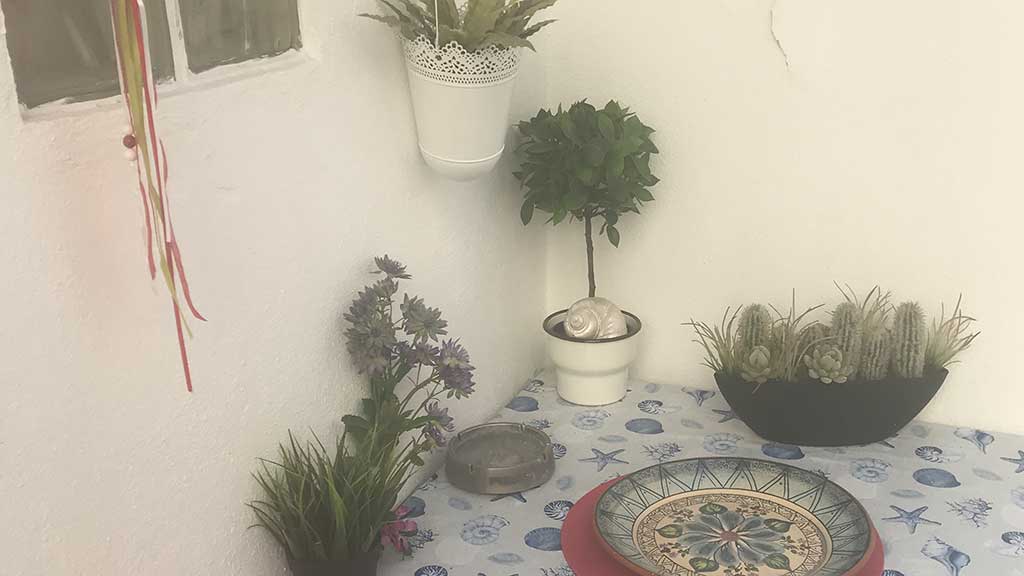 quarto_estudio_11_004