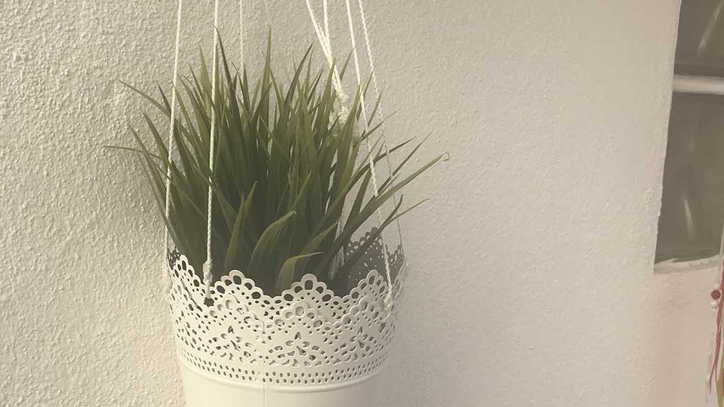 quarto_estudio_11_005