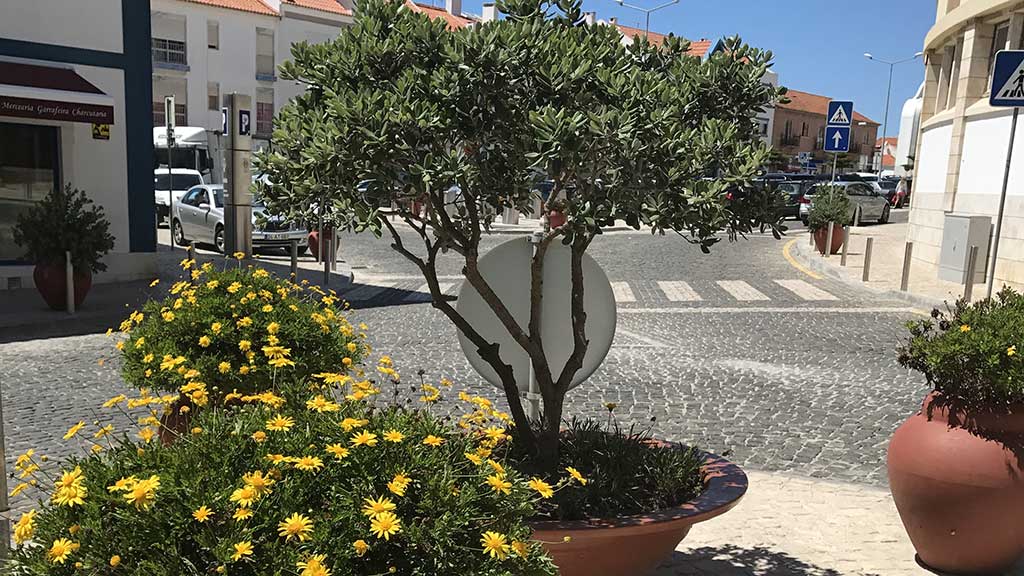 quarto_estudio_3_001